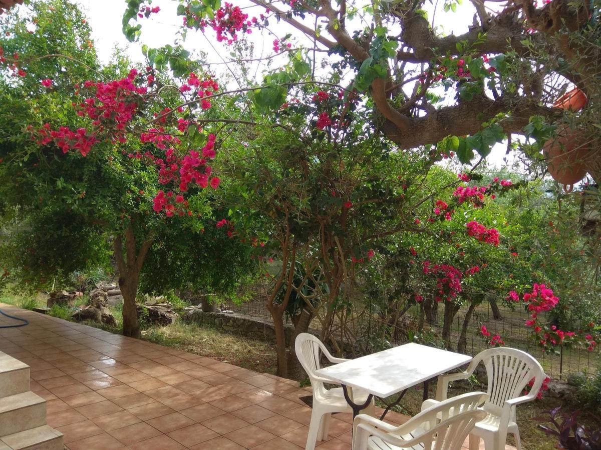 Episkopi-ChaniaKtima Tzamikaアパートメント エクステリア 写真