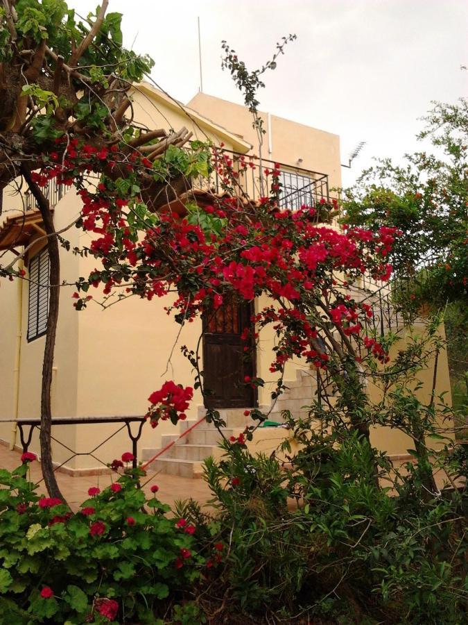 Episkopi-ChaniaKtima Tzamikaアパートメント エクステリア 写真