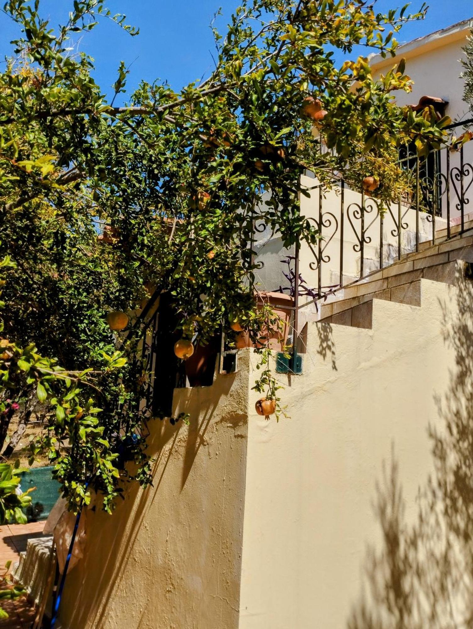 Episkopi-ChaniaKtima Tzamikaアパートメント エクステリア 写真