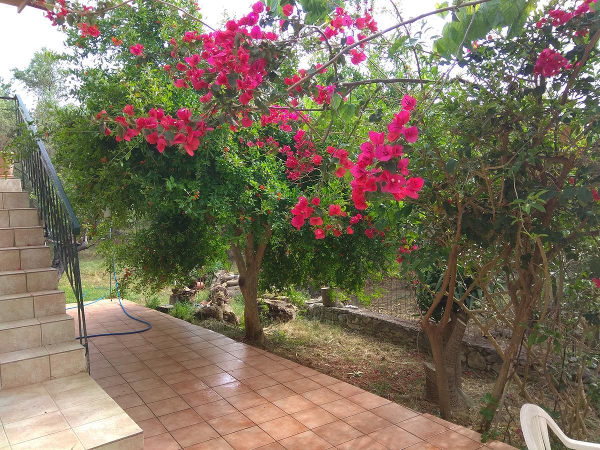 Episkopi-ChaniaKtima Tzamikaアパートメント エクステリア 写真