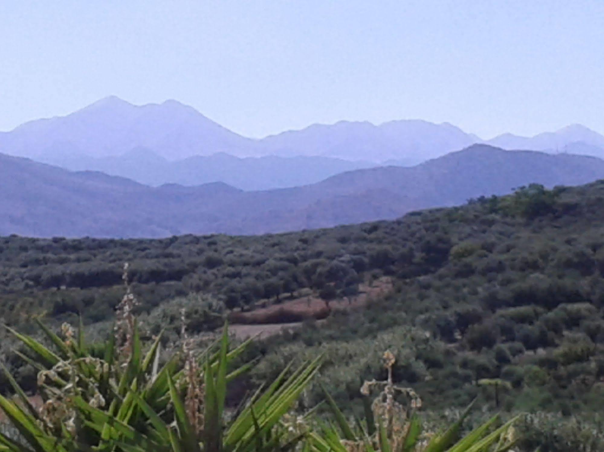 Episkopi-ChaniaKtima Tzamikaアパートメント エクステリア 写真