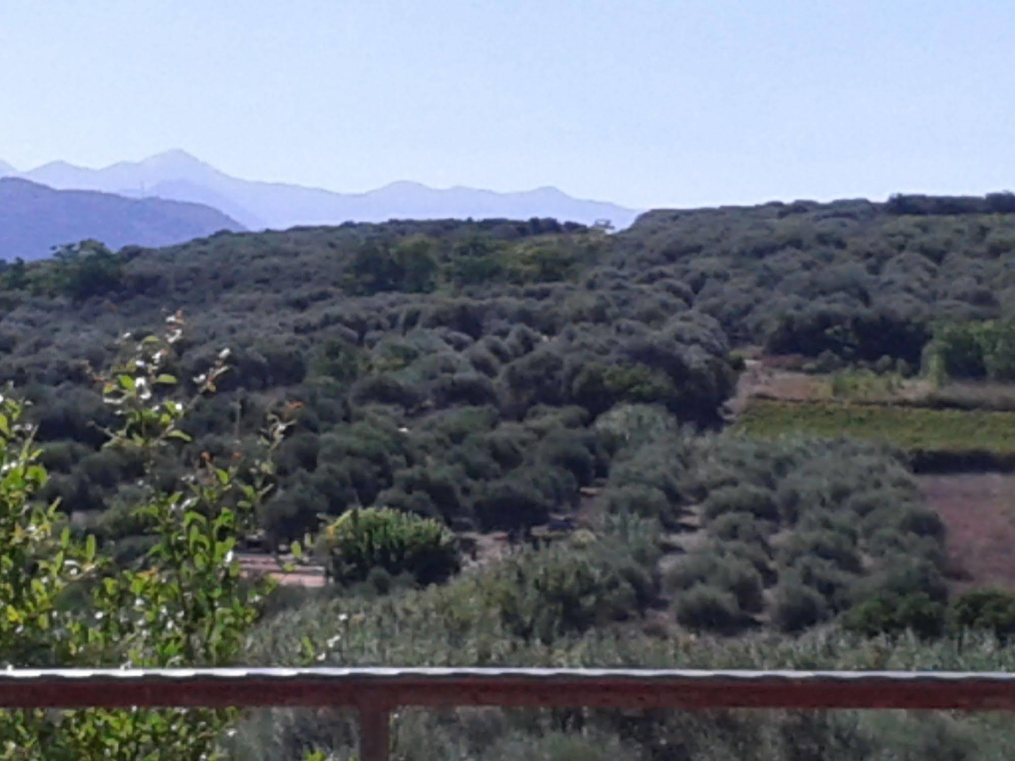 Episkopi-ChaniaKtima Tzamikaアパートメント エクステリア 写真