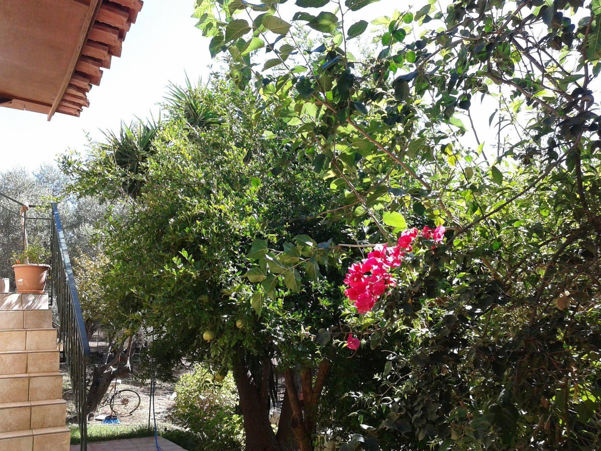 Episkopi-ChaniaKtima Tzamikaアパートメント エクステリア 写真