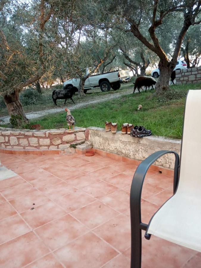 Episkopi-ChaniaKtima Tzamikaアパートメント エクステリア 写真