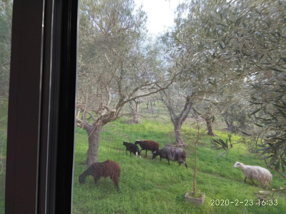 Episkopi-ChaniaKtima Tzamikaアパートメント エクステリア 写真